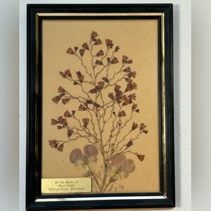Vintage Art Framed Pressed Floral Art Bontanicals On the Banks of Plum Creek